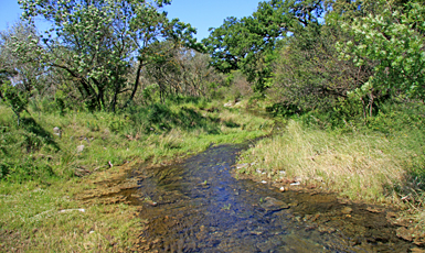 Riera de Reguerada